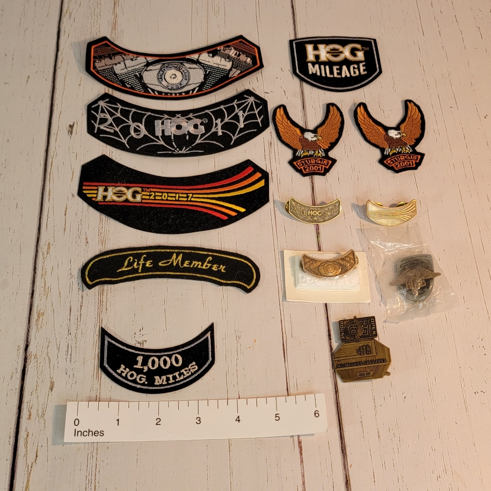 Harley-Davidson Motorcycle Biker Club Patches & Pins for Vest 13 Pc Lot- Surgis - Picture 2 of 3